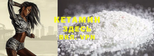 шишки Каменногорск