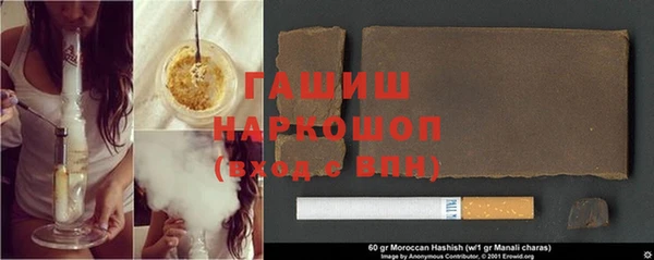 шишки Каменногорск