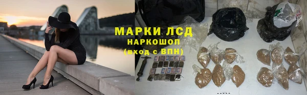 шишки Каменногорск