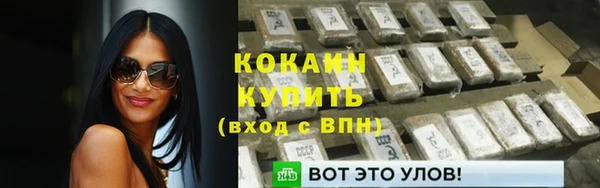 шишки Каменногорск