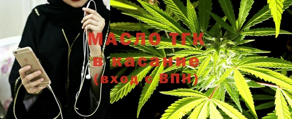 шишки Каменногорск