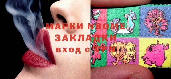 шишки Каменногорск