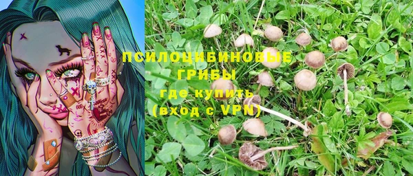 шишки Каменногорск