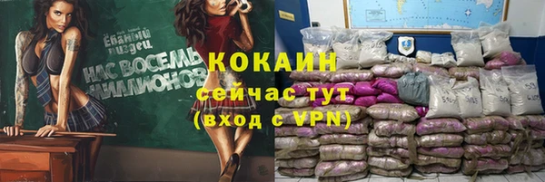 шишки Каменногорск