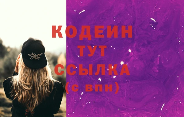 шишки Каменногорск