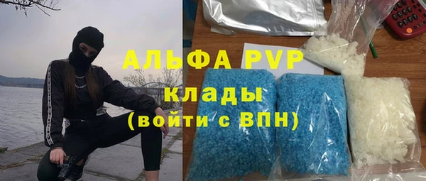 шишки Каменногорск